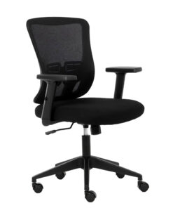 Cadeira de Escritório Diretor DU-215 - Preta