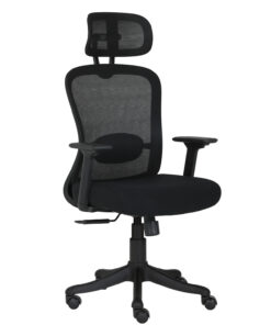 Cadeira de Escritório Presidente Ergonômica NR17 Duoffice Viper DU355